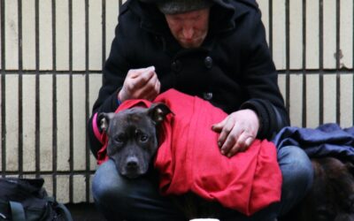 Frozen Dog-House Blues